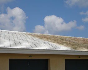 Why you need gutter cleaning in new braunfels, TX